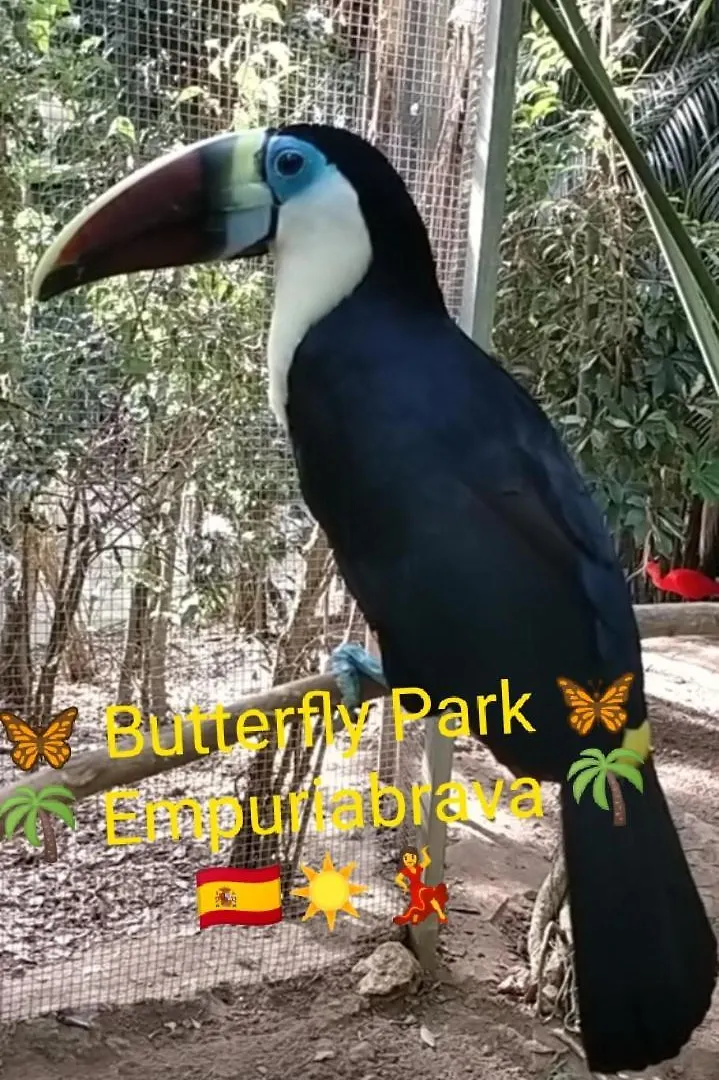 شقة Blue Butterflies Studio إمبوريابرافا